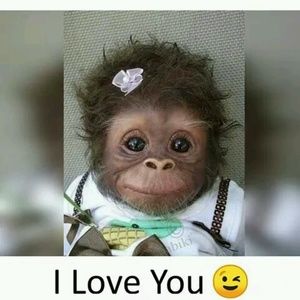 Meet your Posher, Delphia